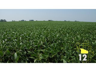 Property photo 44 - Land Auction - 3,379 Acres in 48 Tracts, 2,900 Acres Tillable, Large Contiguous Tracts - Investment Potential